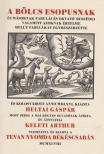 Aesopus - A bölcs Esopusnak és másoknak fabulái és oktató beszédei [antikvár]