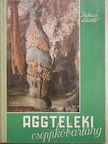 Jakucs László - Aggteleki cseppkőbarlang [antikvár]