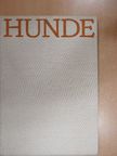 Gerhard Seupel - Hunde [antikvár]