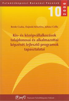 Berde Csaba, Dajnoki krisztina, Juhász Csilla - Kis- és középvállalkozások tulajdonosai és alkalmazottai képzését fejlesztő programok tapasztalatai [antikvár]