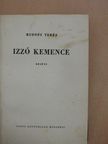 Rudnóy Teréz - Izzó kemence [antikvár]