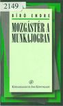 BÍRÓ ENDRE - Mozgástér a munkajogban [antikvár]