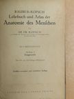 Dr. Fr. Kopsch - Lehrbuch und Atlas der Anatomie des Menschen 4. [antikvár]
