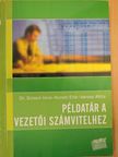 Dr. Sztanó Imre - Példatár a vezetői számvitelhez [antikvár]