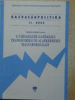 Erdős Tibor - A társadalmi-gazdasági transzformáció alapkérdései Magyarországon [antikvár]