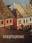 Stojan Vujicic - Szentendre mit 101 Farbaufnahmen [antikvár]