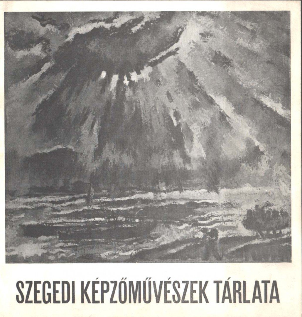 D. FEHÉR ZSUZSA - Szegedi képzőművészek tárlata [antikvár]