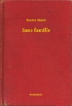 Hector Malot - Sans famille [eKönyv: epub, mobi]
