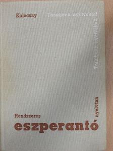 Kalocsay Kálmán - Rendszeres eszperantó nyelvtan [antikvár]
