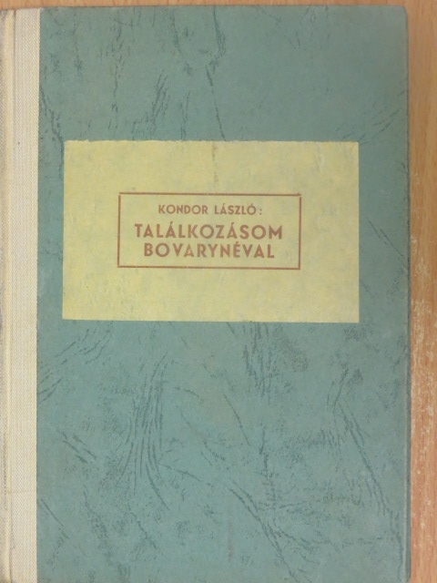 Kondor László - Találkozásom Bovarynéval [antikvár]