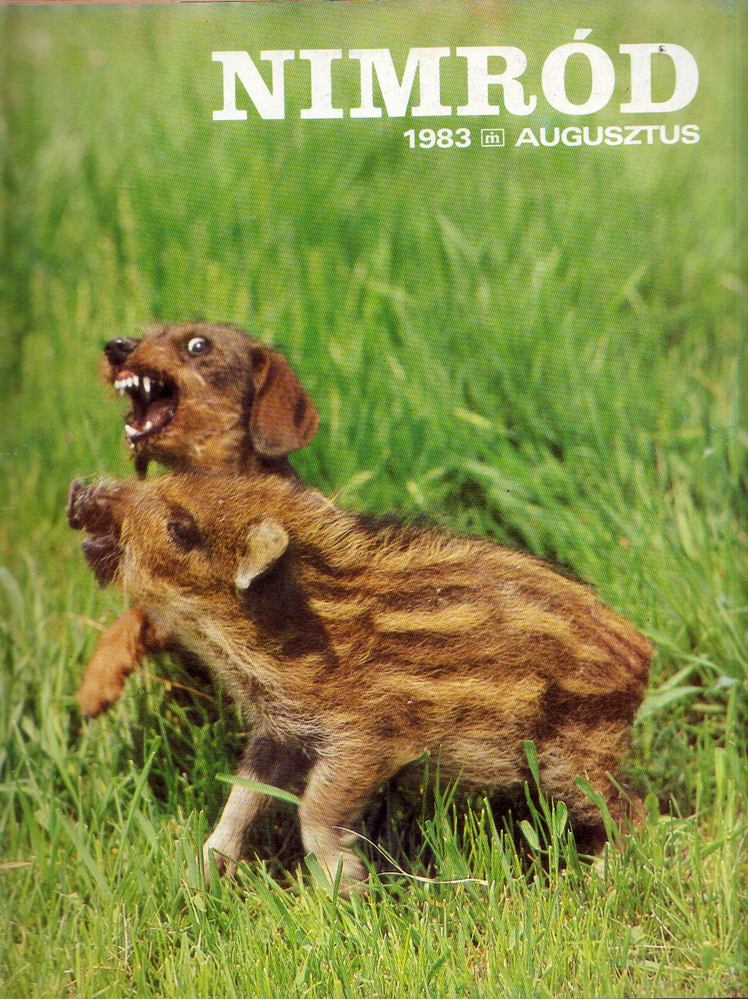 Csekó Sándor - Nimród 1983. Augusztus [antikvár]