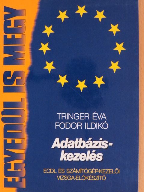 Fodor Ildikó - Adatbázis-kezelés [antikvár]