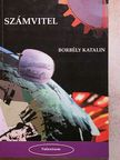 Borbély Katalin - Számvitel [antikvár]