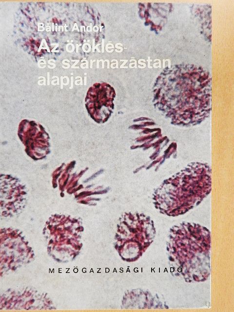 Bálint Andor - Az öröklés- és származástan alapjai [antikvár]
