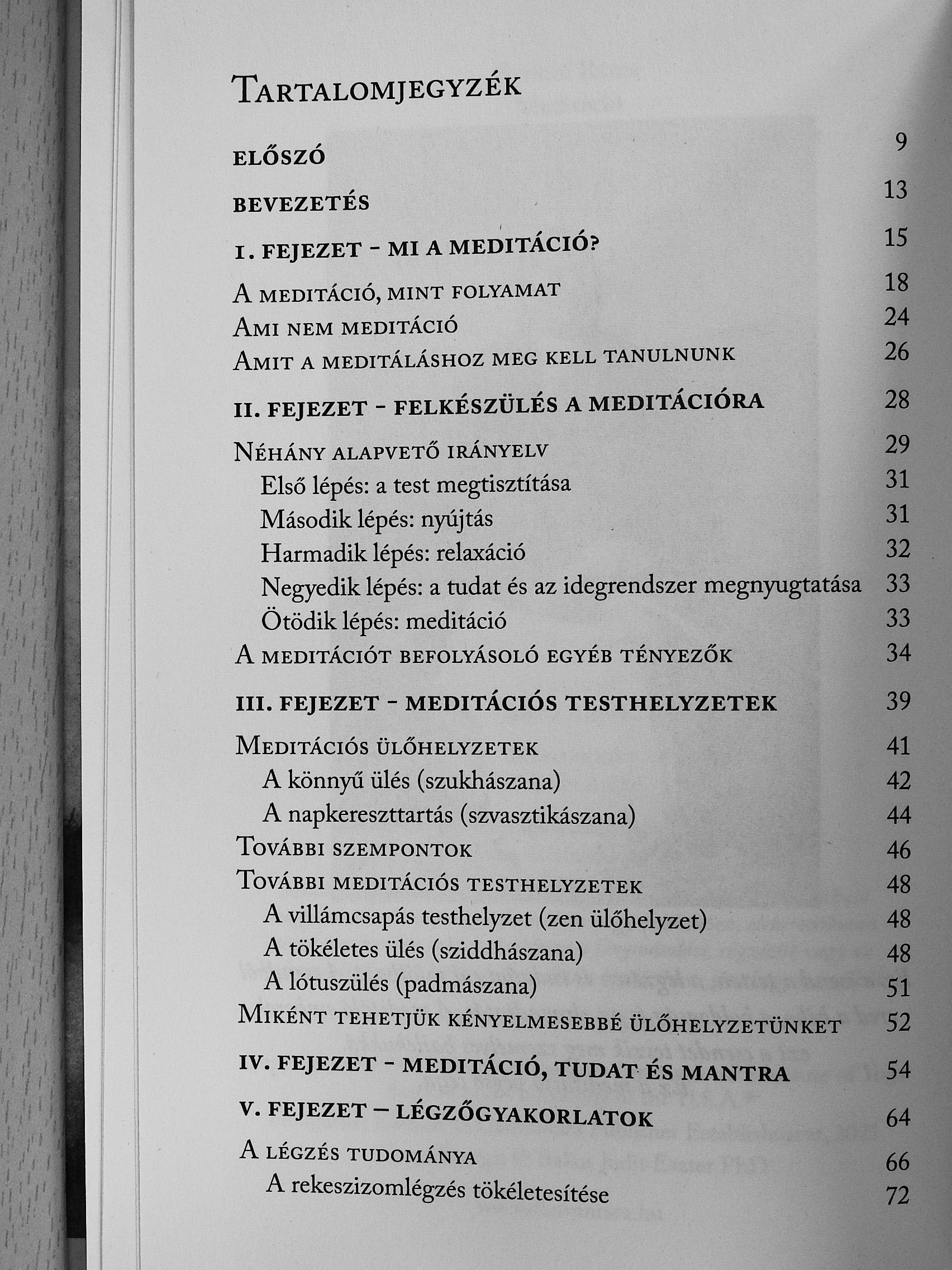 Szvámí Ráma - Meditáció [antikvár]