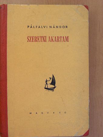 Pálfalvi Nándor - Szeretni akartam [antikvár]