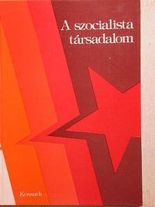 A. Sz. Ajzikovics - A szocialista társadalom [antikvár]
