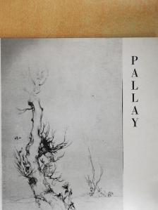 Pallay [antikvár]