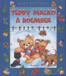Juhász Magda - Teddy Mackó a hóember [antikvár]