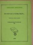 Bartha Dénes - Itt tó van a Tátra ölén... [antikvár]