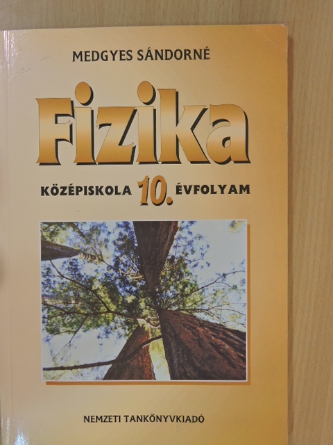 Medgyes Sándorné - Fizika 10. [antikvár]