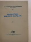 Baraczka István - Tanulmányok Budapest multjából VIII. [antikvár]