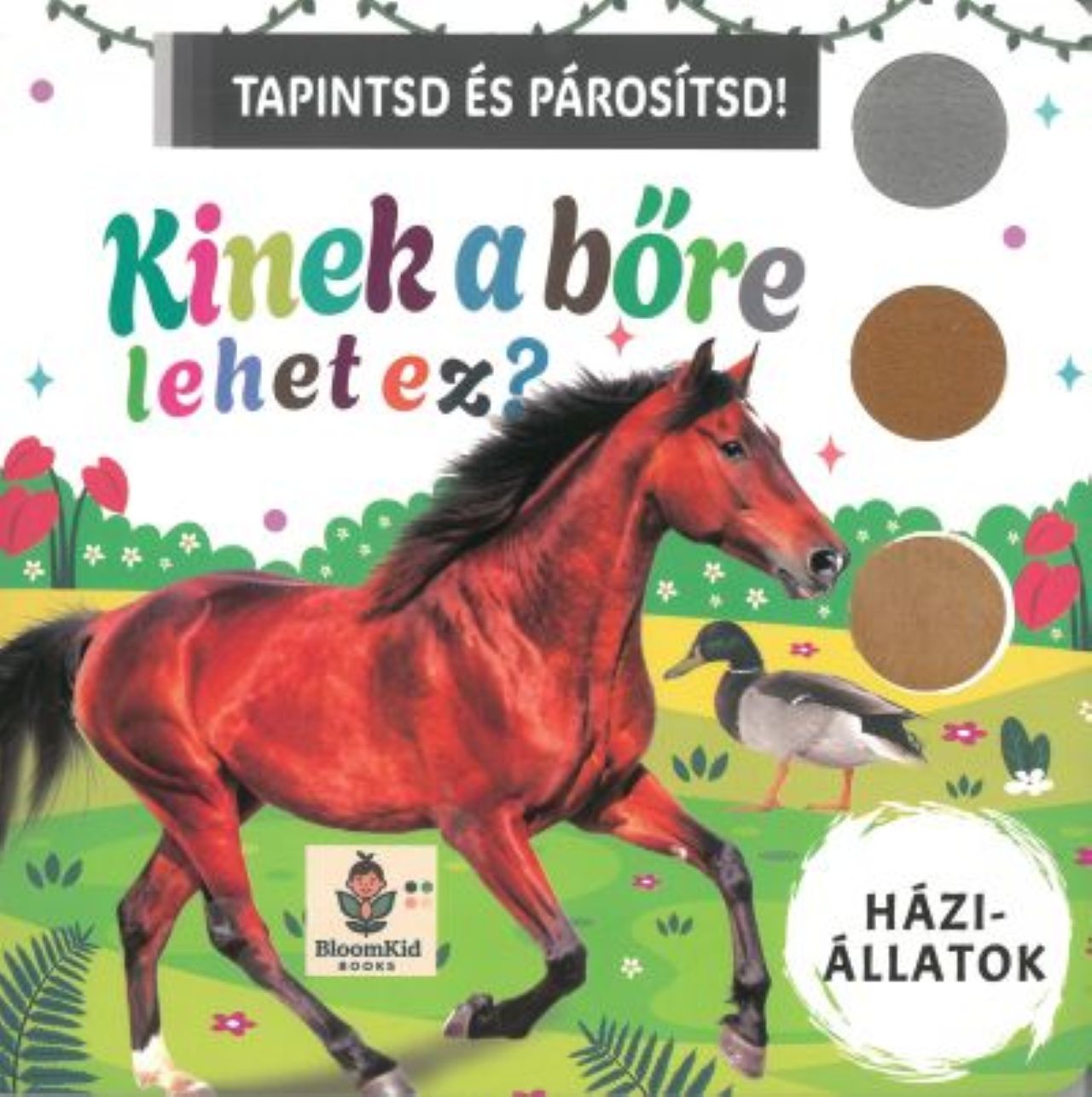 Tapintsd és párosítsd! Kinek a bőre lehet ez? Háziállatok