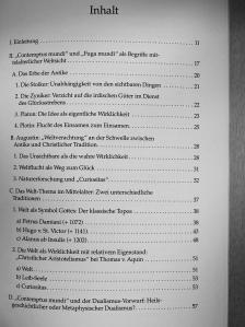 Alfons Hämmerl - Die Welt - Symbol Gottes oder eigenständige Wirklichkeit? [antikvár]