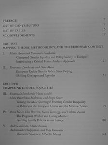 Multiple Meanings of Gender Equality [antikvár]