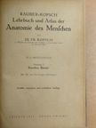 Dr. Fr. Kopsch - Lehrbuch und Atlas der Anatomie des Menschen 2. [antikvár]