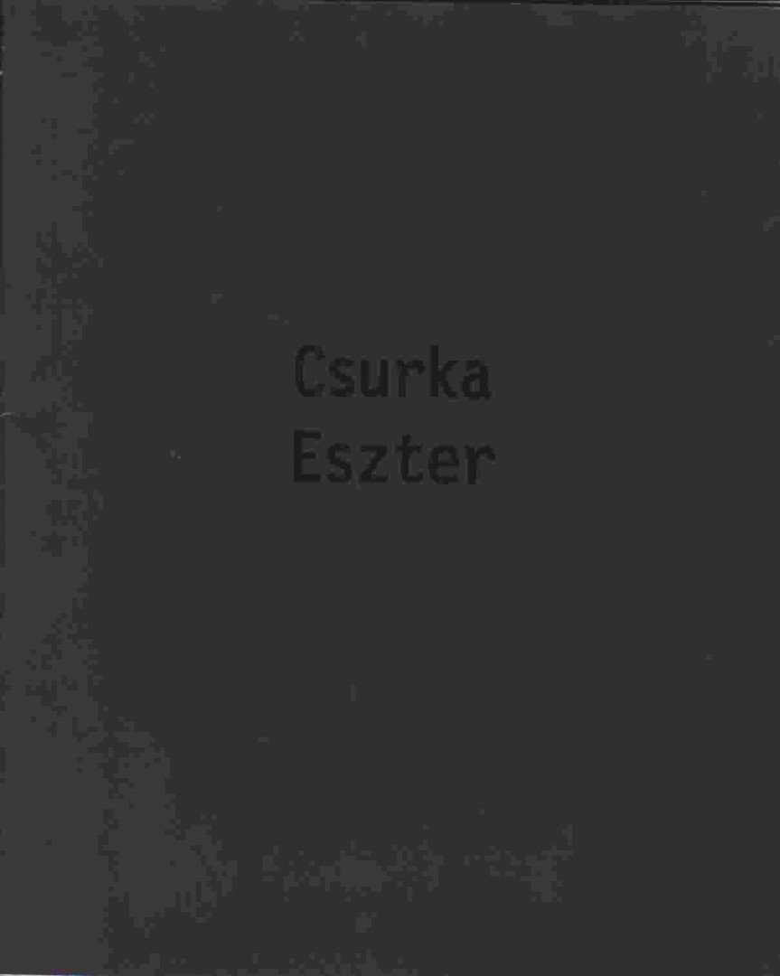 STURCZ JÁNOS - Csurka Eszter [antikvár]