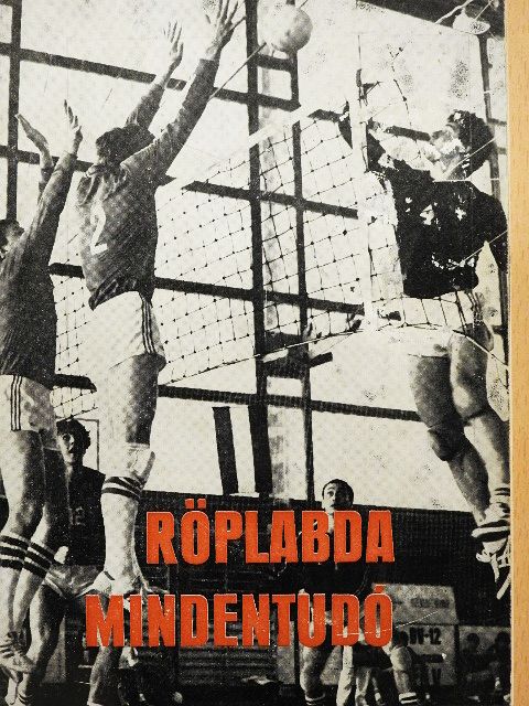 Röplabda mindentudó [antikvár]