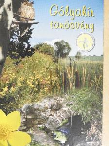 Antalicz Csaba - Gólyahír tanösvény [antikvár]