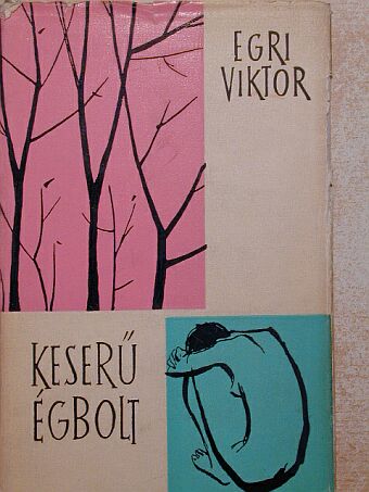Egri Viktor - Keserű égbolt [antikvár]