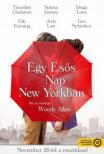 EGY ESŐS NAP NEW YORKBAN - DVD
