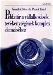 Kresalek Péter, Pucsek József Dr. - Példatár a vállalkozások tevékenységének komplex elemzéséhez [antikvár]