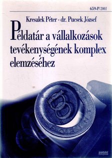 Kresalek Péter, Pucsek József Dr. - Példatár a vállalkozások tevékenységének komplex elemzéséhez [antikvár]