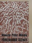 Németh Péter Mikola - Főbe(n)járó üzenet (dedikált példány) [antikvár]