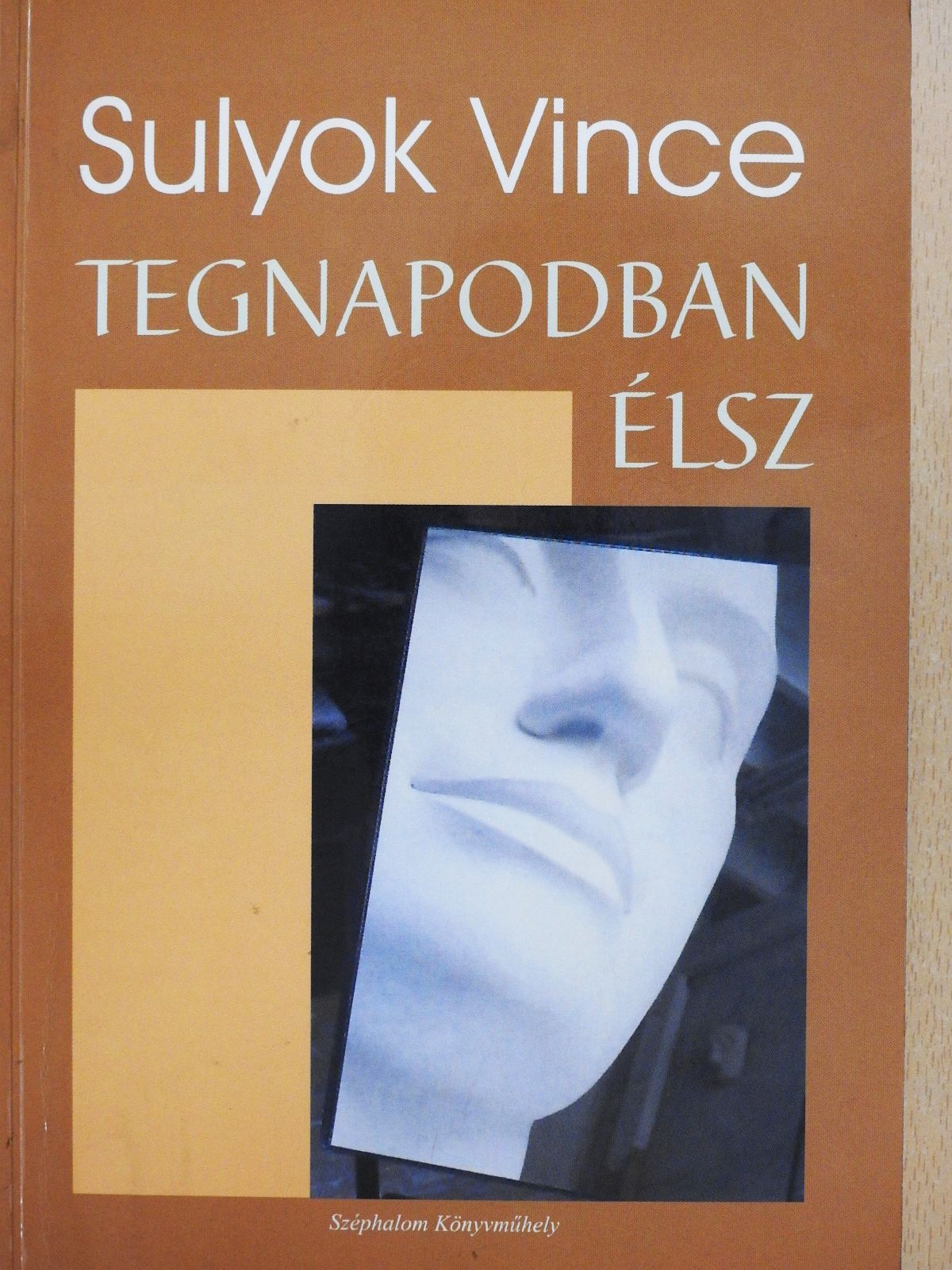 Sulyok Vince - Tegnapodban élsz (dedikált példány) [antikvár]