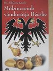 Dr. Siklóssy László - Műkincseink vándorútja Bécsbe [antikvár]