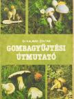 Dr. Kalmár Zoltán - Gombagyűjtési útmutató [antikvár]