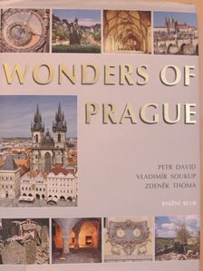 Petr David - Wonders of Prague [antikvár]