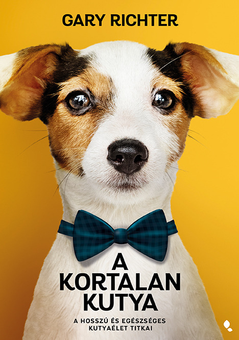 Gary Richter - A kortalan kutya [eKönyv: epub, mobi]