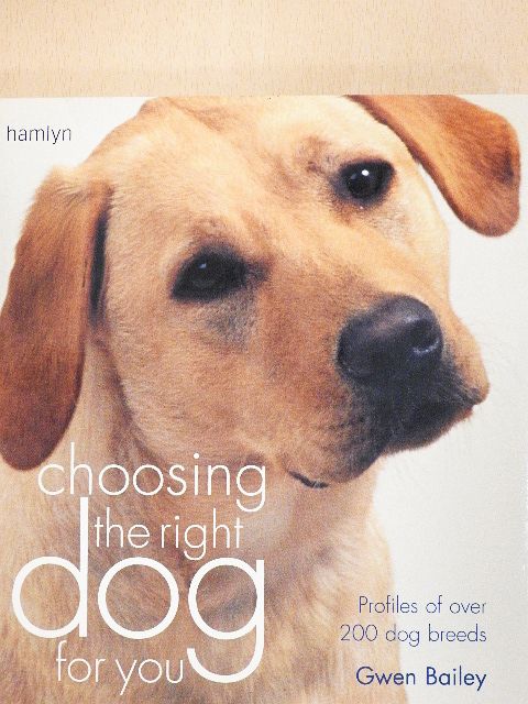 Gwen Bailey - Choosing the right dog for you [antikvár]