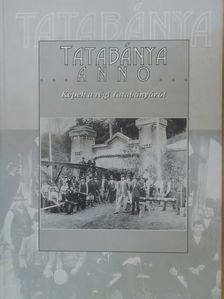 Fűrészné Molnár Anikó - Tatabánya Anno [antikvár]