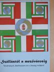 Babucs Zoltán - Szállástól a mezővárosig [antikvár]