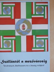 Babucs Zoltán - Szállástól a mezővárosig [antikvár]