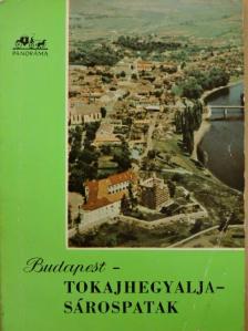 Aba Iván - Budapest-Tokajhegyalja-Sárospatak [antikvár]