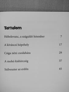 Balázs Ágnes - A száguldó hóember és más történetek [antikvár]