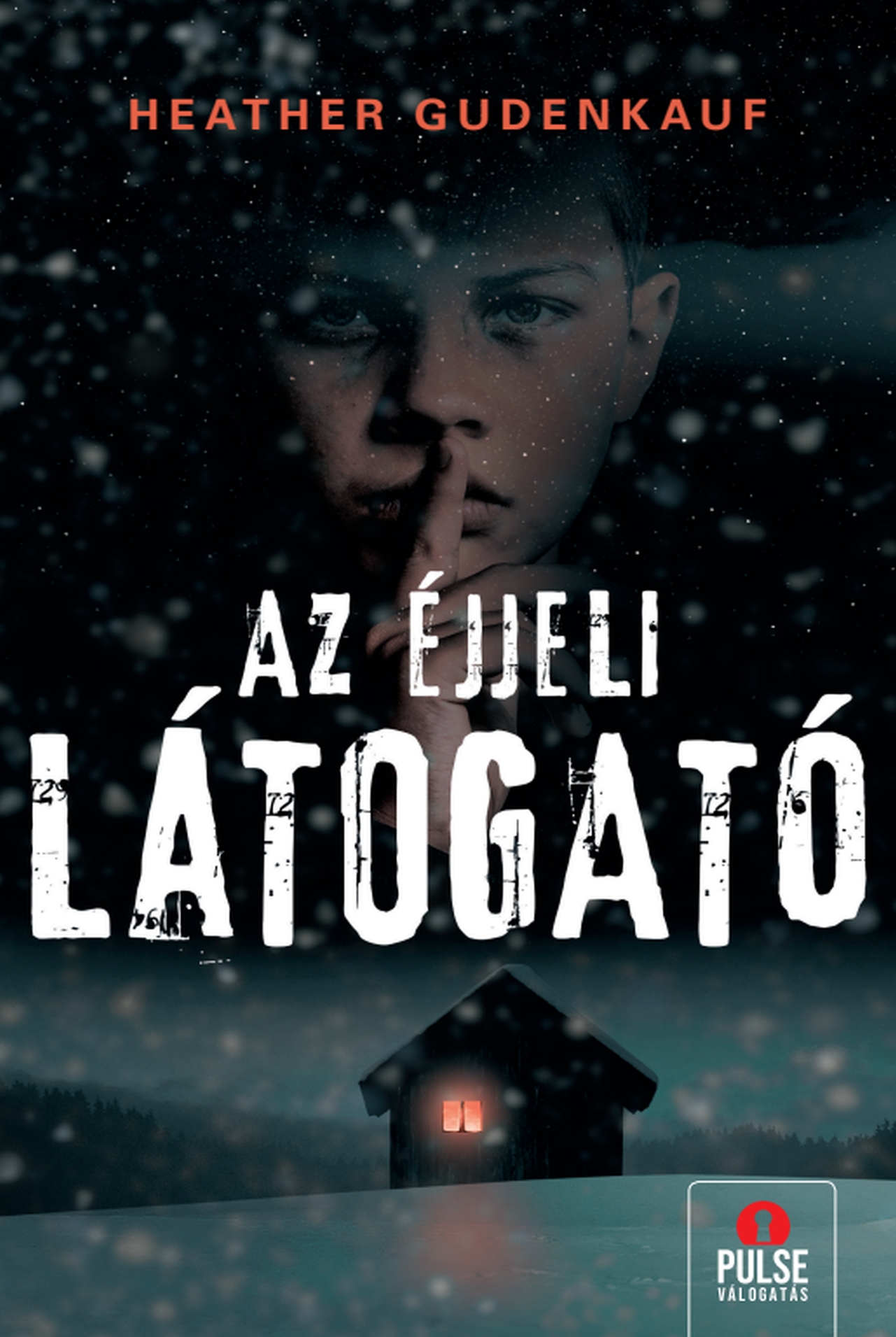 Heather Gudenkauf - Az éjjeli látogató [eKönyv: epub, mobi]